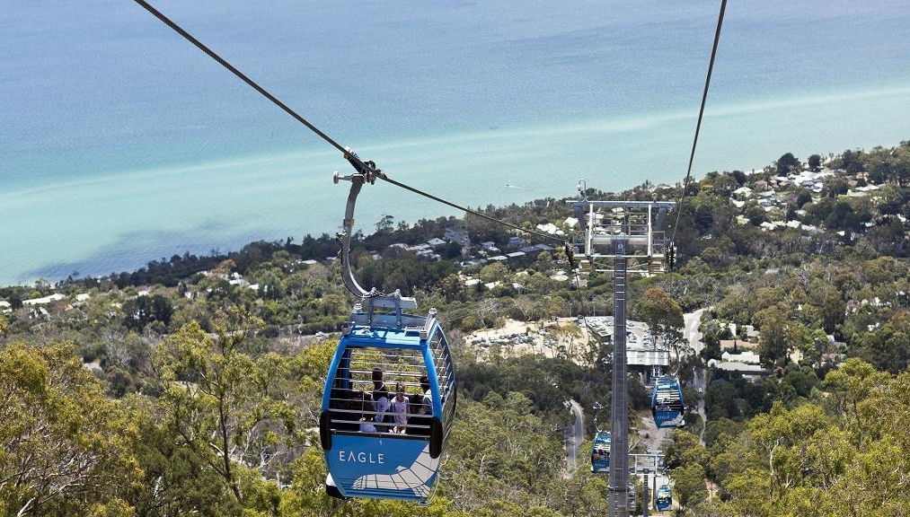 Mornington Peninsula Scenic Bus Tour - Photo 1